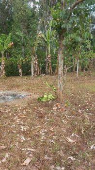 Dijual Tanah di genengan, Pakisaji Malang