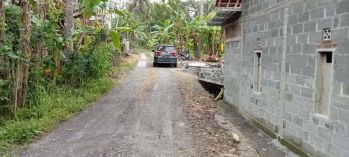 Tanah Pekarangan SHM Dekat SMA Negeri 1 Sentolo Lingkungan Perumahan