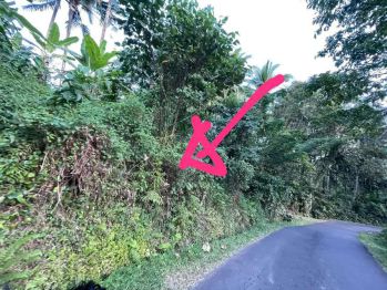 Tanah Murah Di Jalan Gunung Salak Berjarak 1km Raya Denpasar Gilimanuk