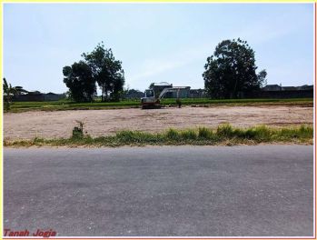 Pekarangan Tepi Jalan Aspal Selatan Kampus UKRIM Kalasan Jogja