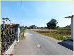 thumbnail-pekarangan-tepi-jalan-aspal-selatan-kampus-ukrim-kalasan-jogja-3