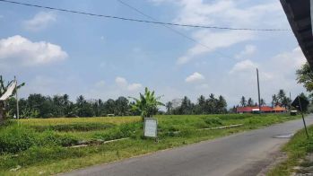 TANAH SAWAH GULON KABUPATEN MAGELANG