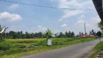 thumbnail-tanah-sawah-gulon-kabupaten-magelang-0