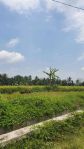 thumbnail-tanah-sawah-gulon-kabupaten-magelang-2