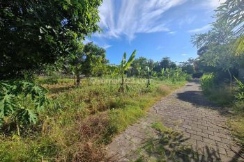 Tanah:1000 M2(10 are) super langka  siap Bangun  Pecatu Bali