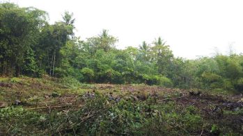 Tanah SHM Moyudan Jogja, 8 menit Pasar Ngijon