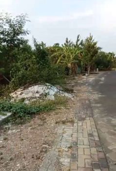 11 are Freehold Land, Munggu, Mengwi, Bali