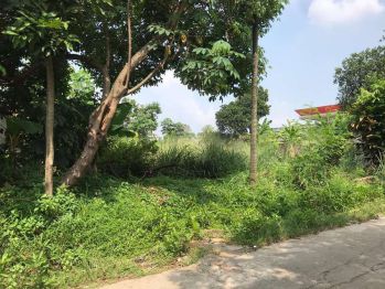 Tanah Untuk Cluster Luas Limo, Akses Jalan Besar Meruyung