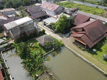 Tanah di Bubulak Bogor dekat IPB