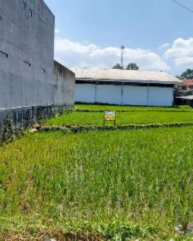 Sell Tanah: Di Jual Tanah/Sawah