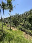 thumbnail-dijual-tanah-tegallalang-ubud-bali-view-jungle-ada-sungai-0