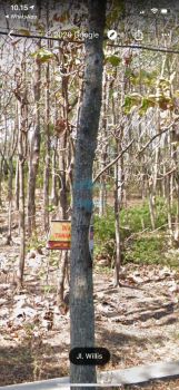 Dijual Tanah di jl. wilis