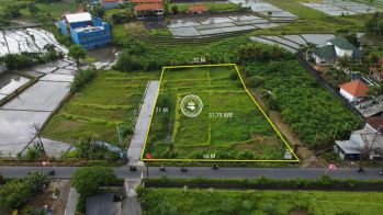 Tanah Pinggir Jalan Utama Pantai Nyanyi disewakan