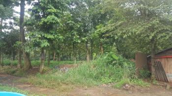 Tanah Istimewa Jl. Raya Parung, Kemang, Bogor