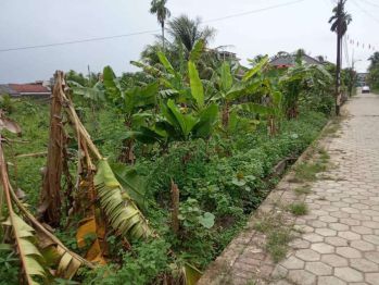 DIJUAL CEPAT /MURAH SEBIDANG TANAH 300 M2 DI TALANG KERAMAT