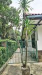 thumbnail-rumah-kebun-hitung-tanah-di-jl-joe-lenteng-agung-jagakarsa-jaksel-4