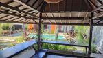 thumbnail-bungalow-for-rent-in-padonan-area-near-berawa-5