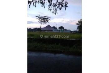 Dijual Tanah Zona Merah Luas 5 Hektar Lokasi Klaten