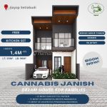 thumbnail-cannabis-house-beli-1-rumah-gratis-10-bonus-melimpah-13