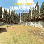 thumbnail-cannabis-house-beli-1-rumah-gratis-10-bonus-melimpah-1