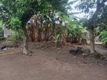 Dijual Murah Pekarangan Mantrijeron Yogya Kota