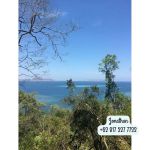 thumbnail-for-sale-3-land-in-labuan-bajo-0