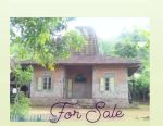 thumbnail-sell-rumah-di-jual-rumah-joglo-0