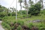 thumbnail-tanah-murah-hanya-100-meter-dari-pantai-dekat-pantai-balian-bali-4