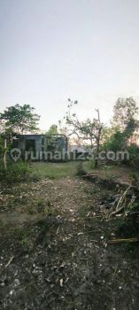 BUC,  Tanah 5 are di Jalan Tunjung,Pura masuka, lt 2 Sea View. Hanya 425jt/Are