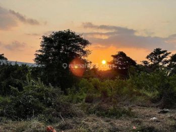 Hot List Di Jual Tanah Lokasi Munggu Mengwi Badung