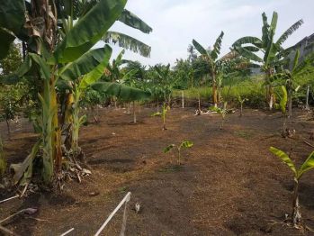 Jual Tanah Di Bugisan, Kabupaten Ngawi