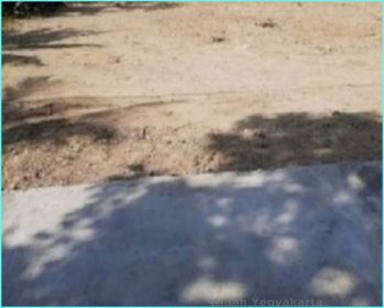 Dijual Tanah Jl.Nasional Dekat Bandara YIA Daerah Pengasih