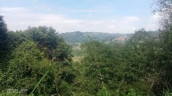 Jual tanah murah LT 1 ha, girik, nempel jaln desa