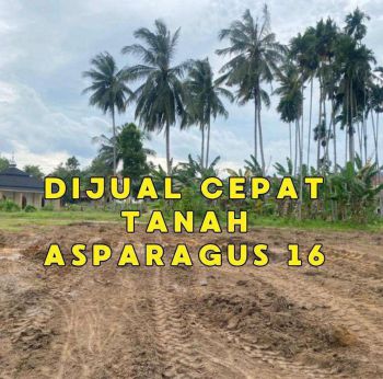 Jual Cepat Tanah Asparagus