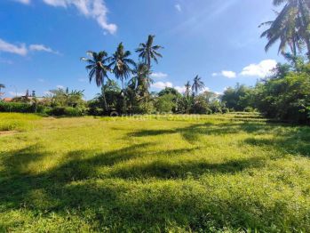 Jual tanah premium dekat Pepito dan Coco mart Ubud singakerta