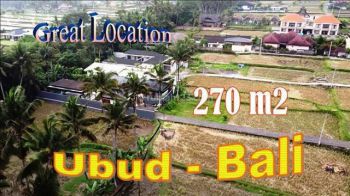 Lahan Sawah 6 Menit Dari Sentral Ubud Murah Cocok Untuk Villa