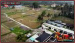 thumbnail-lahan-sawah-6-menit-dari-sentral-ubud-murah-cocok-untuk-villa-6