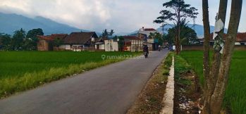 Di jual cepat tanah u/ perumahan desa panenjoan cicalengka