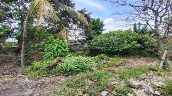 Dijual tanah premium di Lothundhu view jalan raya