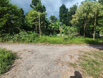 Tanah 300 Jtan, Jogja Sleman Cebongan, Ringroad