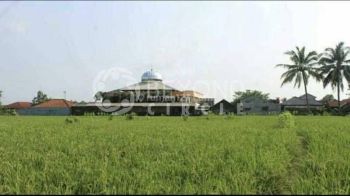 Dijual Tanah Super Luas Jalan Utama Area Subang