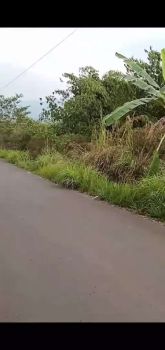 DIJUAL LAHAN MURAH 50HA PINGGIR JALAN SADENG LEUWISADENG BOGOR JABAR