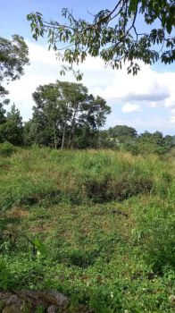 JUAL TANAH DI BAWAH NJOP SENTUL