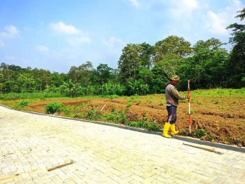 Tanah banyak di cari ukuran besar