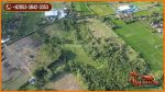 thumbnail-pinggir-jalan-aspal-tanah-kebun-datar-area-jembrana-bali-5