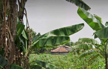 Dijual Tanah Pinggir Jalan Daerah Ciherang Tapos Depok