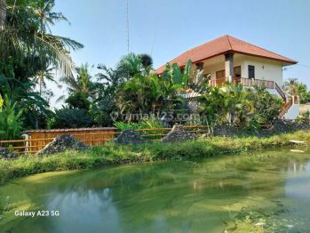 Villa lantai 2  view sawah dekat pasilitas umum