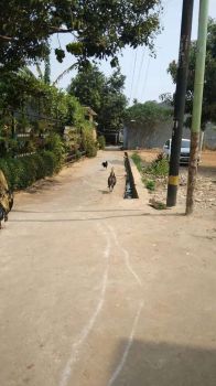 Tanah 1100 M2 murah di pondok melati