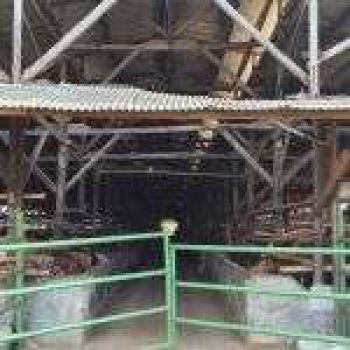 Dijual Tanah Dan Kandang Sapi Di Purwakarta