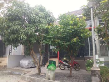 Di Kontrakkan Rumah Beserta Isinya